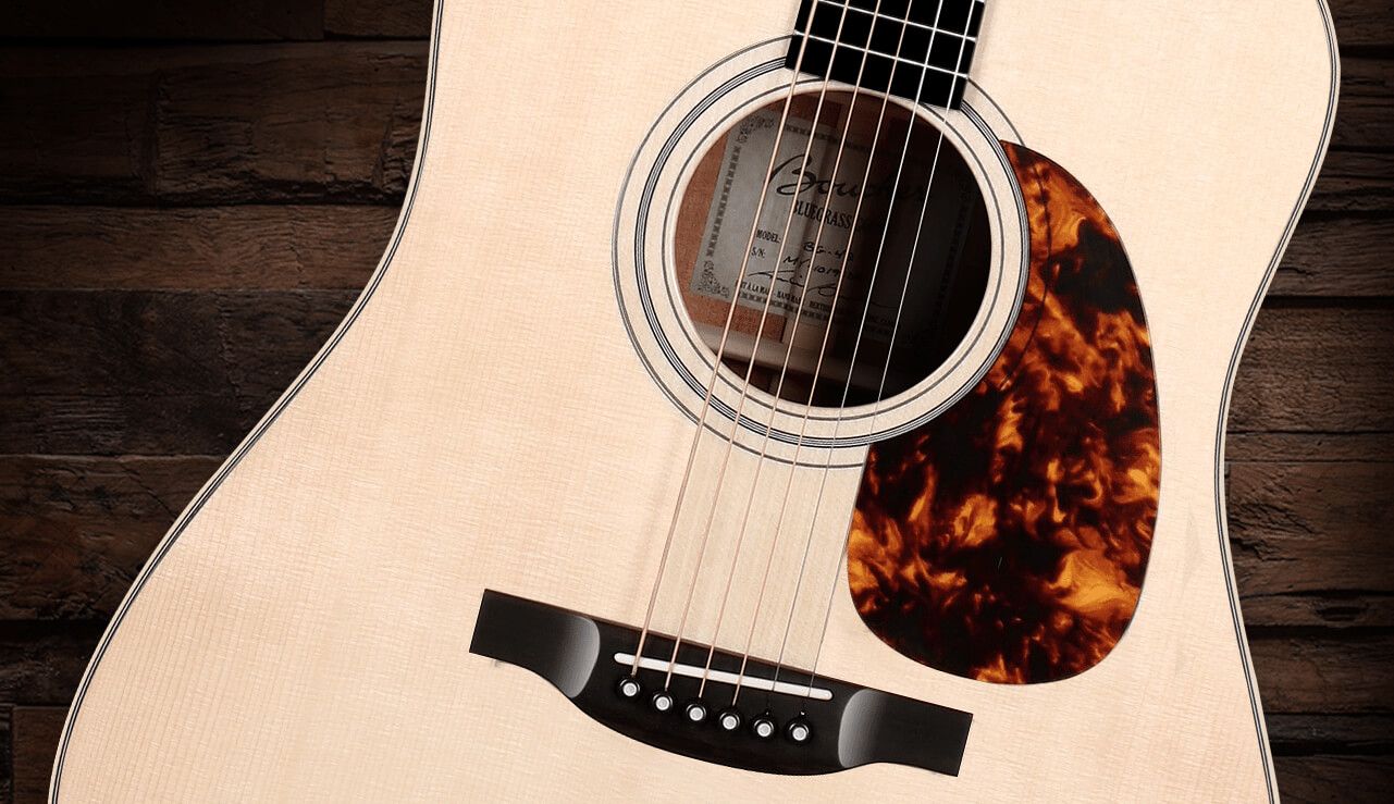 Guitares Boucher Bluegrass Goose