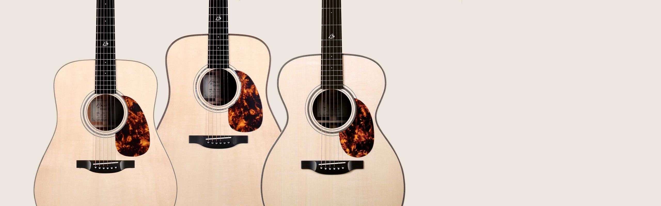 Galerie Série Bluegrass Goose