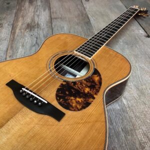 OM Hybride BG-51-GIM