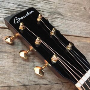 OM Hybride BG-51-GIM